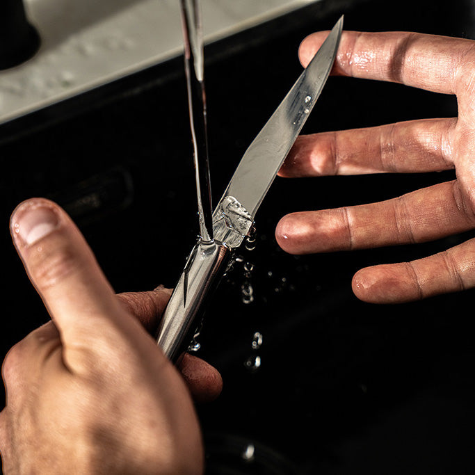 Laguiole Steakknives RVS set of 6