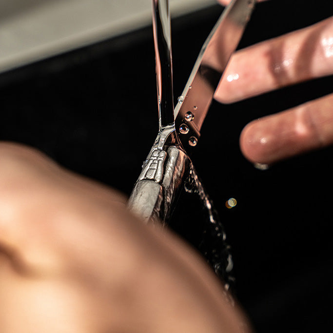 Laguiole Steakknives RVS set of 6